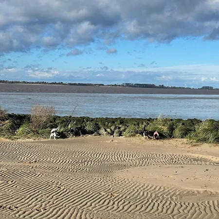 Elbnest Direkt Am Elbstrand By Fewo-plan Koll100, Ideale Naehe Zur Weltstadt Hamburg * Kollmar