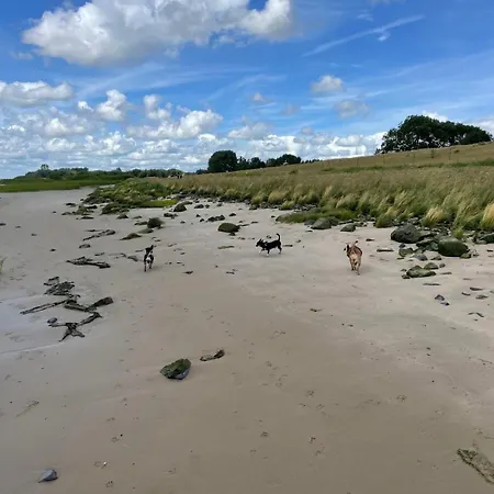 Elbnest Direkt Am Elbstrand By Fewo-plan Koll100, Ideale Naehe Zur Weltstadt Hamburg Holiday home *